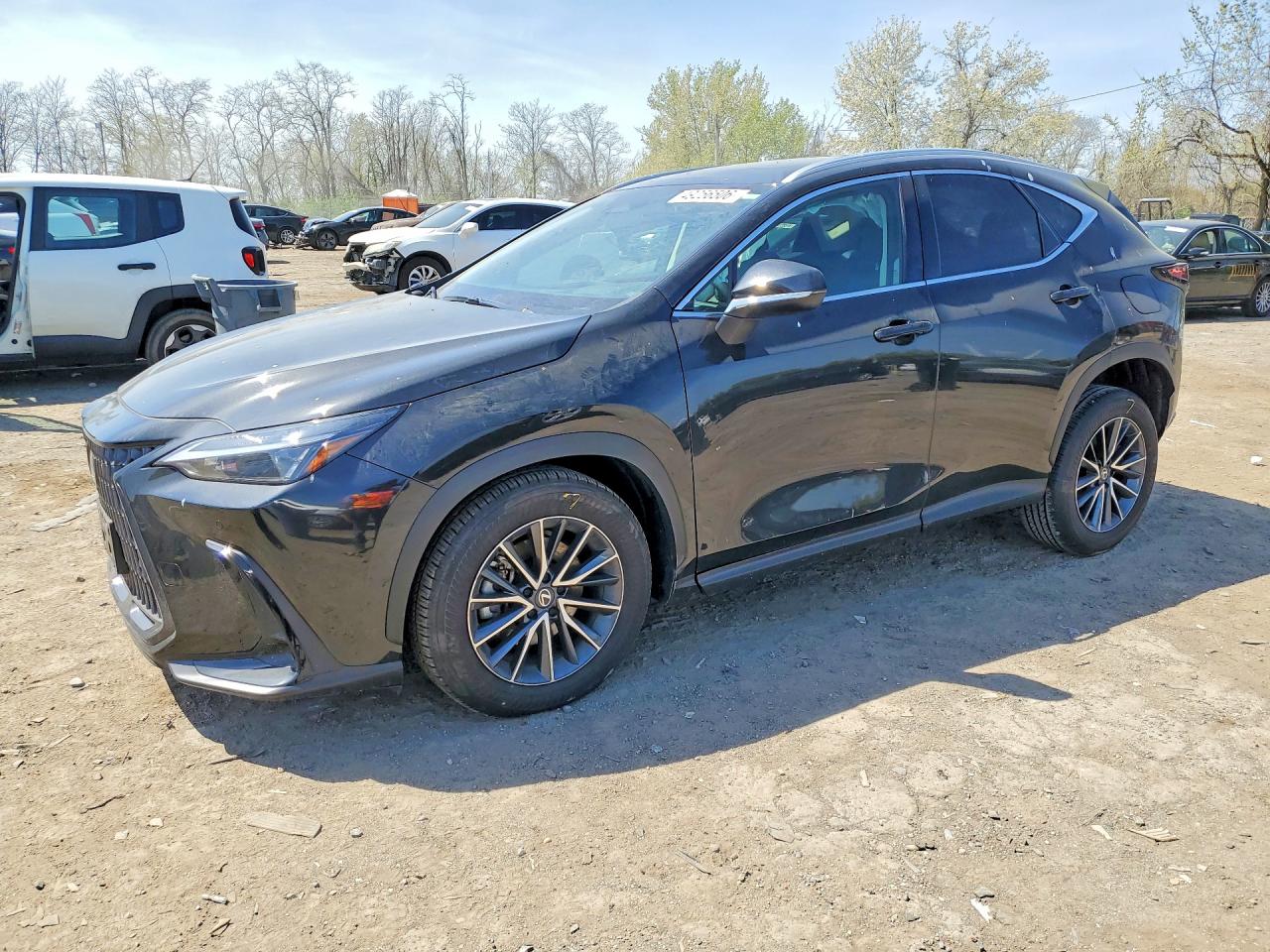 2026 Lexus NX