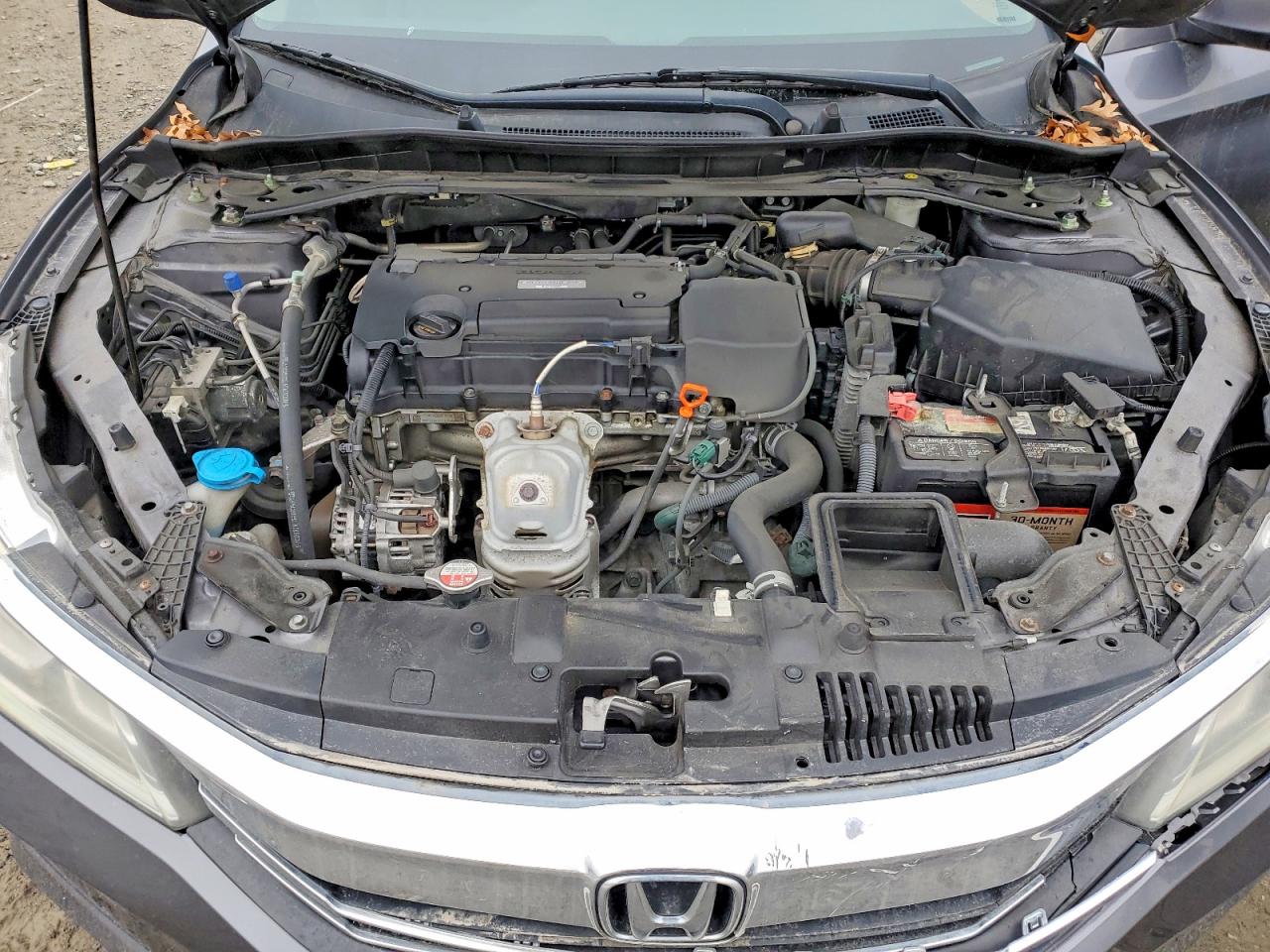 Honda Accord Exl