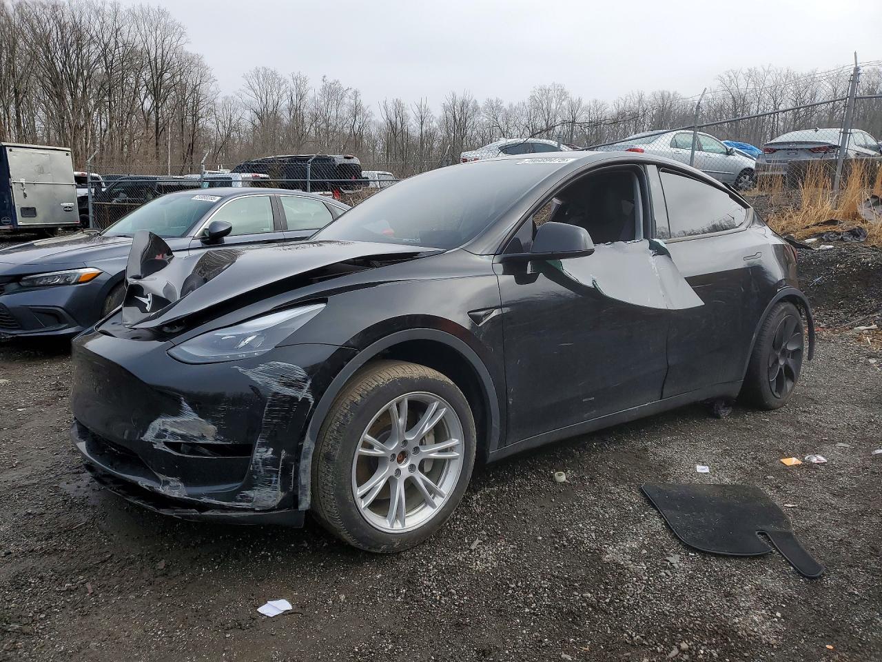 Salvage Tesla Model Y Image