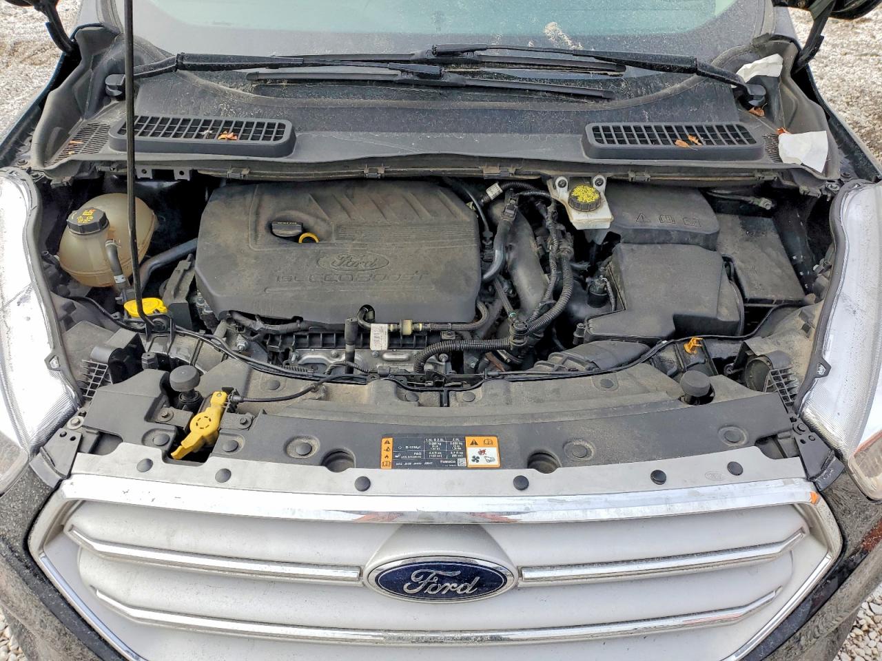 Ford Escape Se