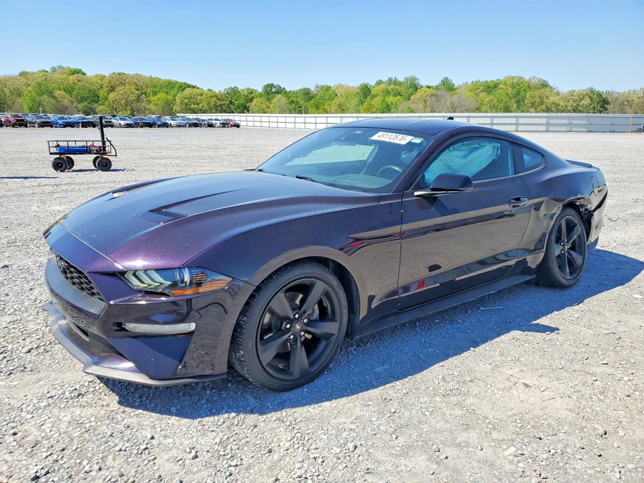 Salvage Ford Mustang Image