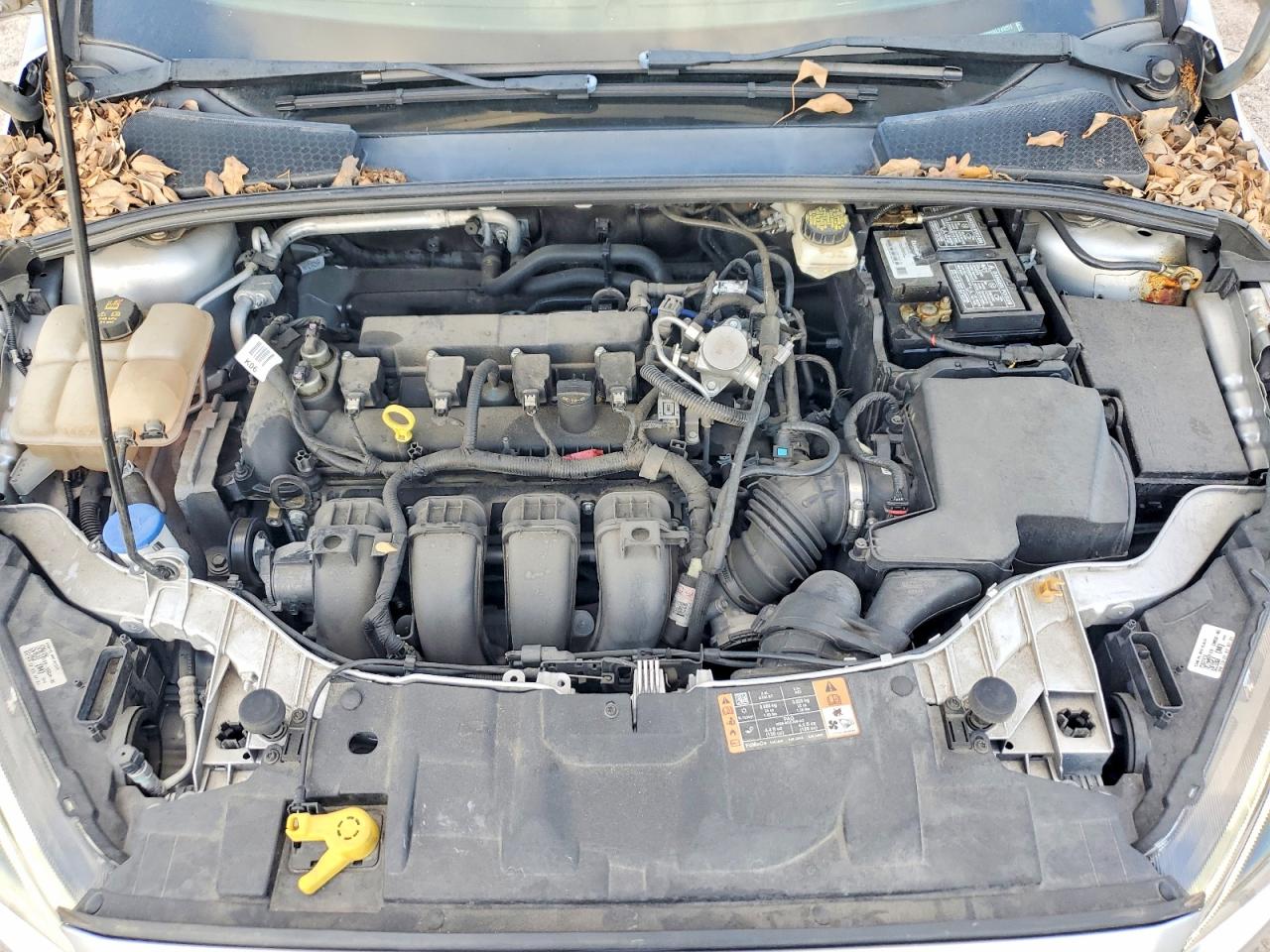 Ford Focus Sel