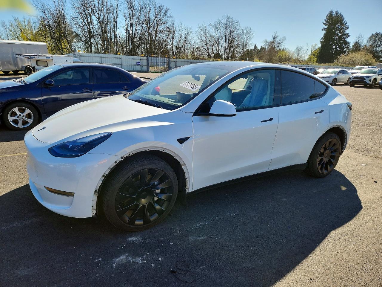 Salvage Tesla Model Y Image