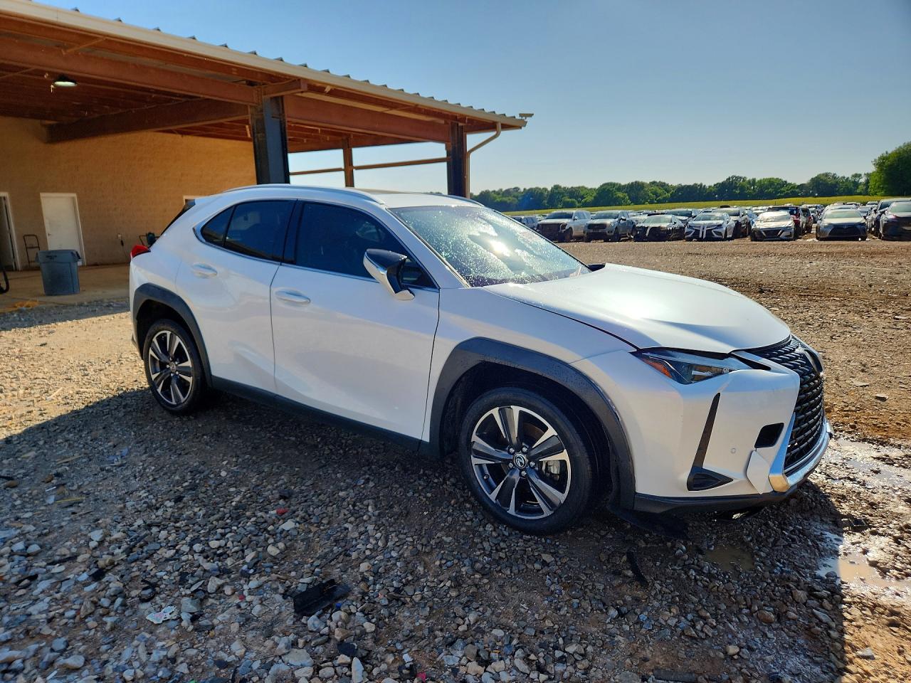 Lexus Ux 250h