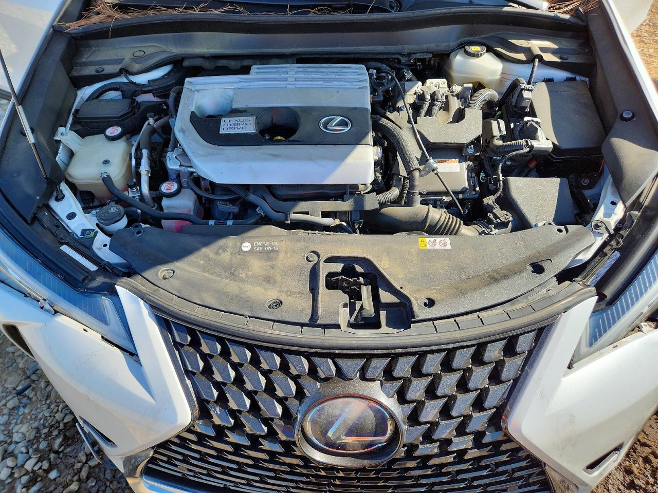 Lexus Ux 250h
