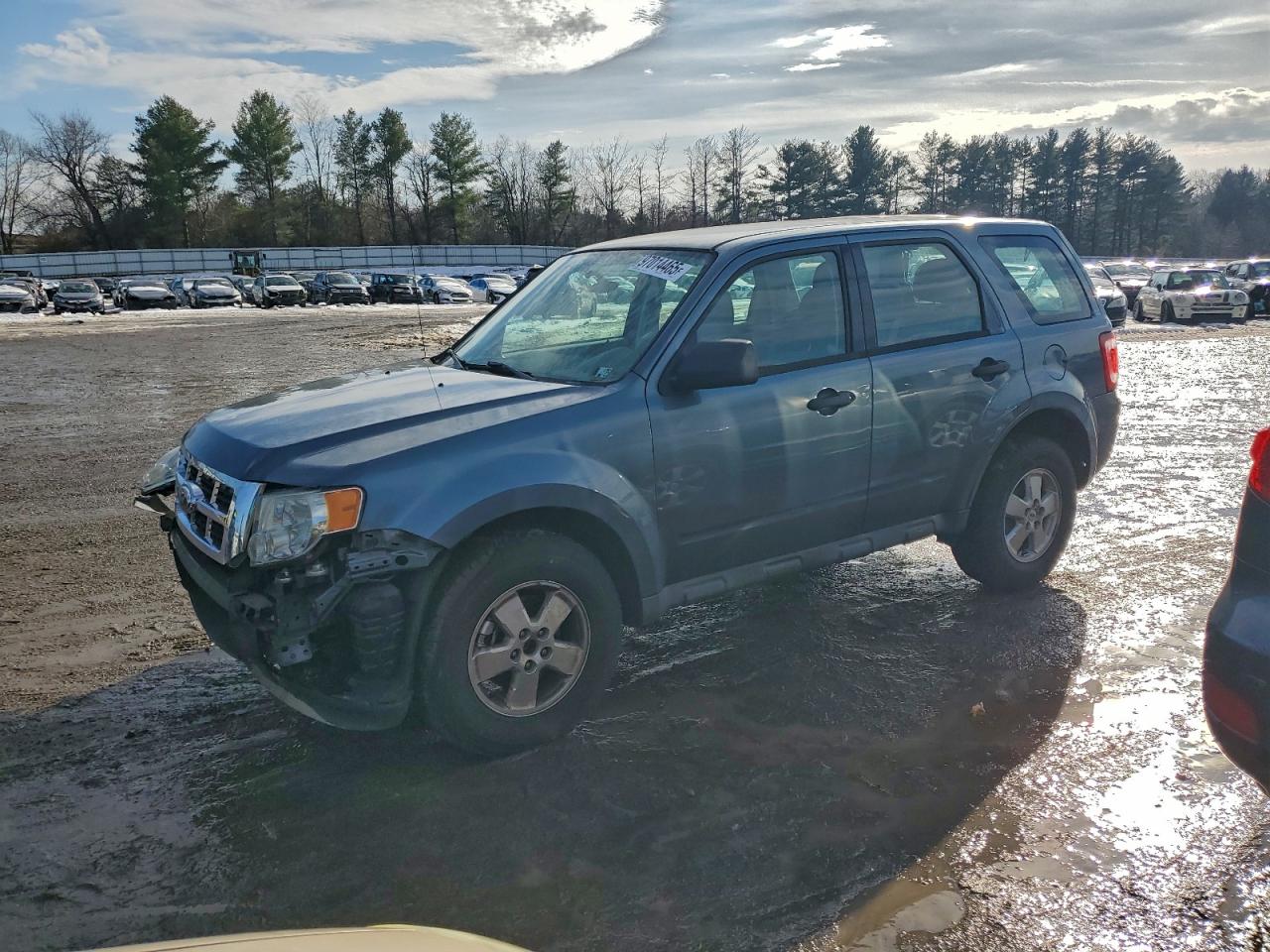 Salvage Ford Escape Image
