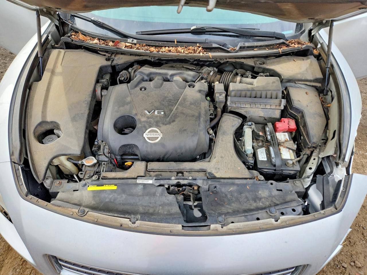 Nissan Maxima