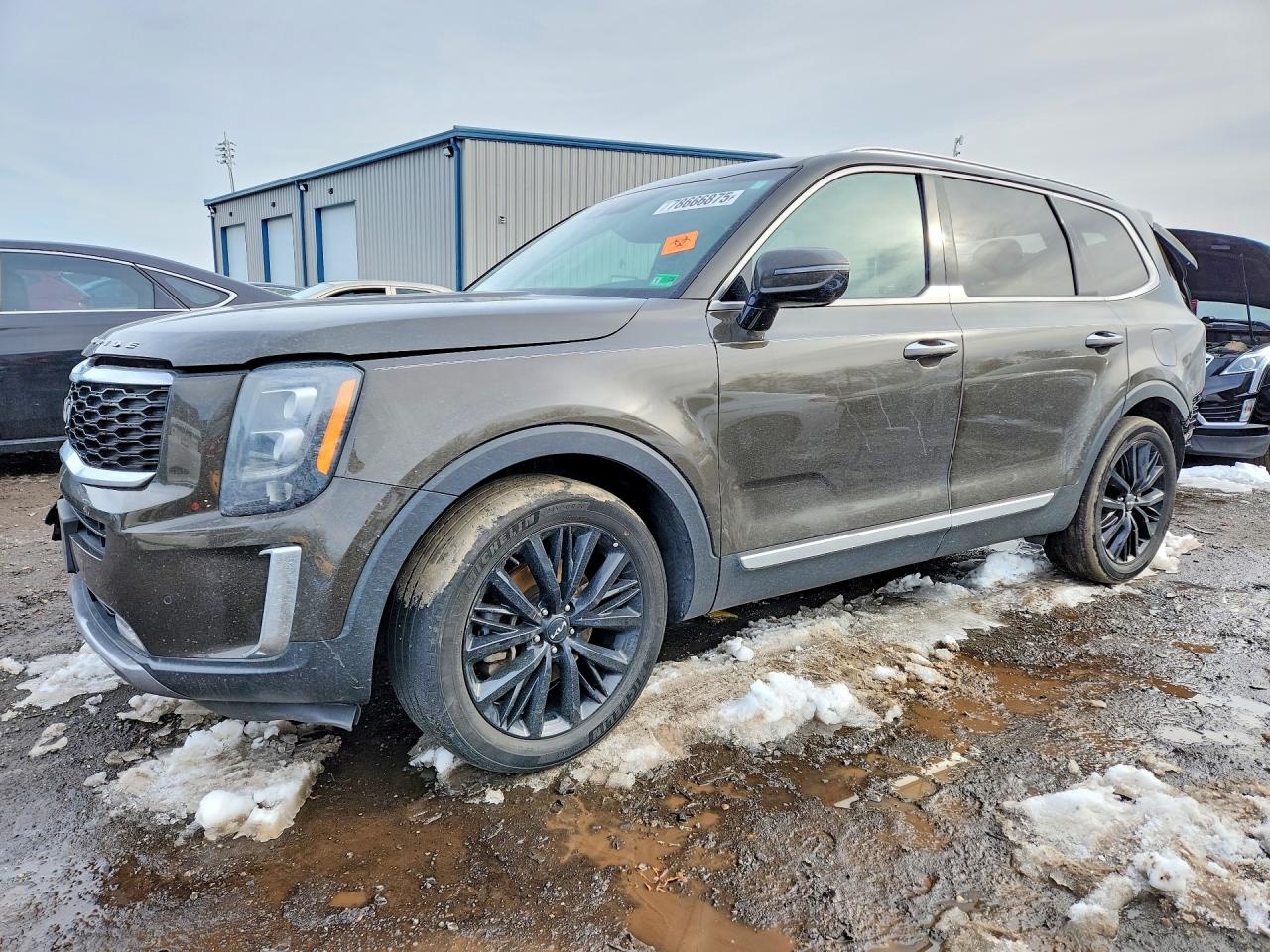 Salvage Kia Telluride Image