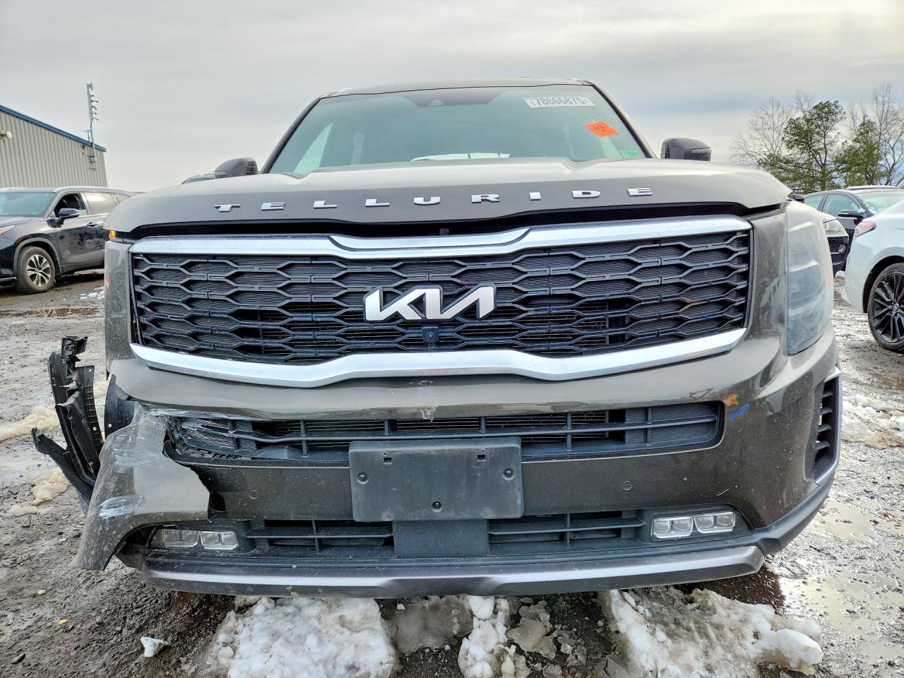Kia Telluride Sx