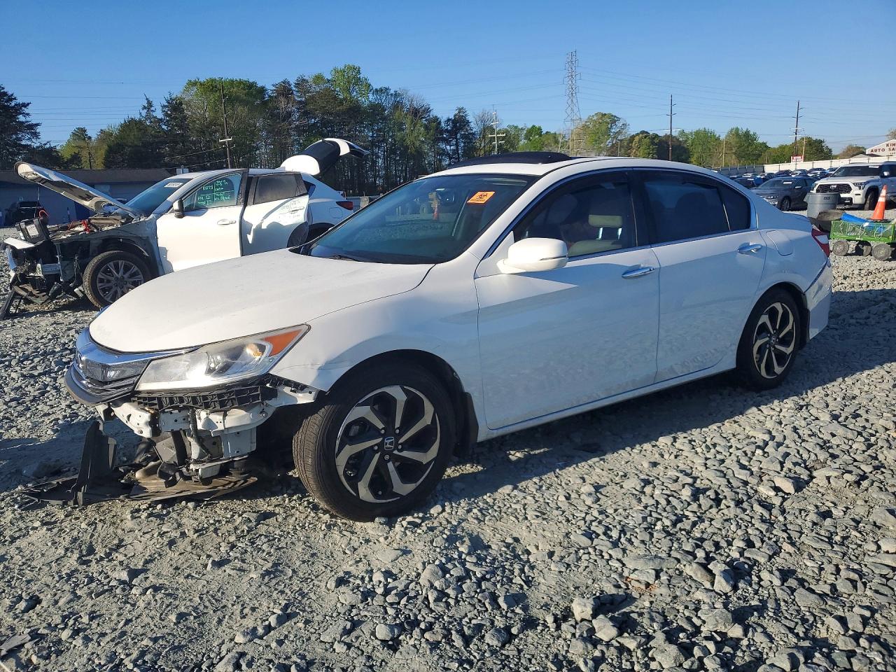 Salvage Honda Accord Image