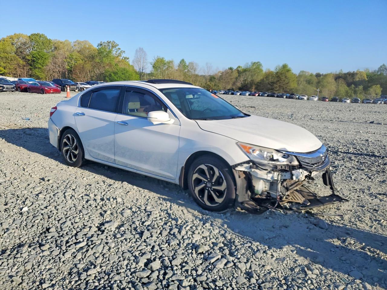 Honda Accord Exl