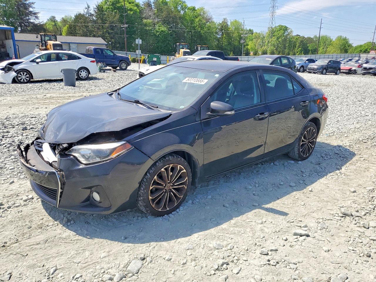 Salvage Toyota Corolla Image