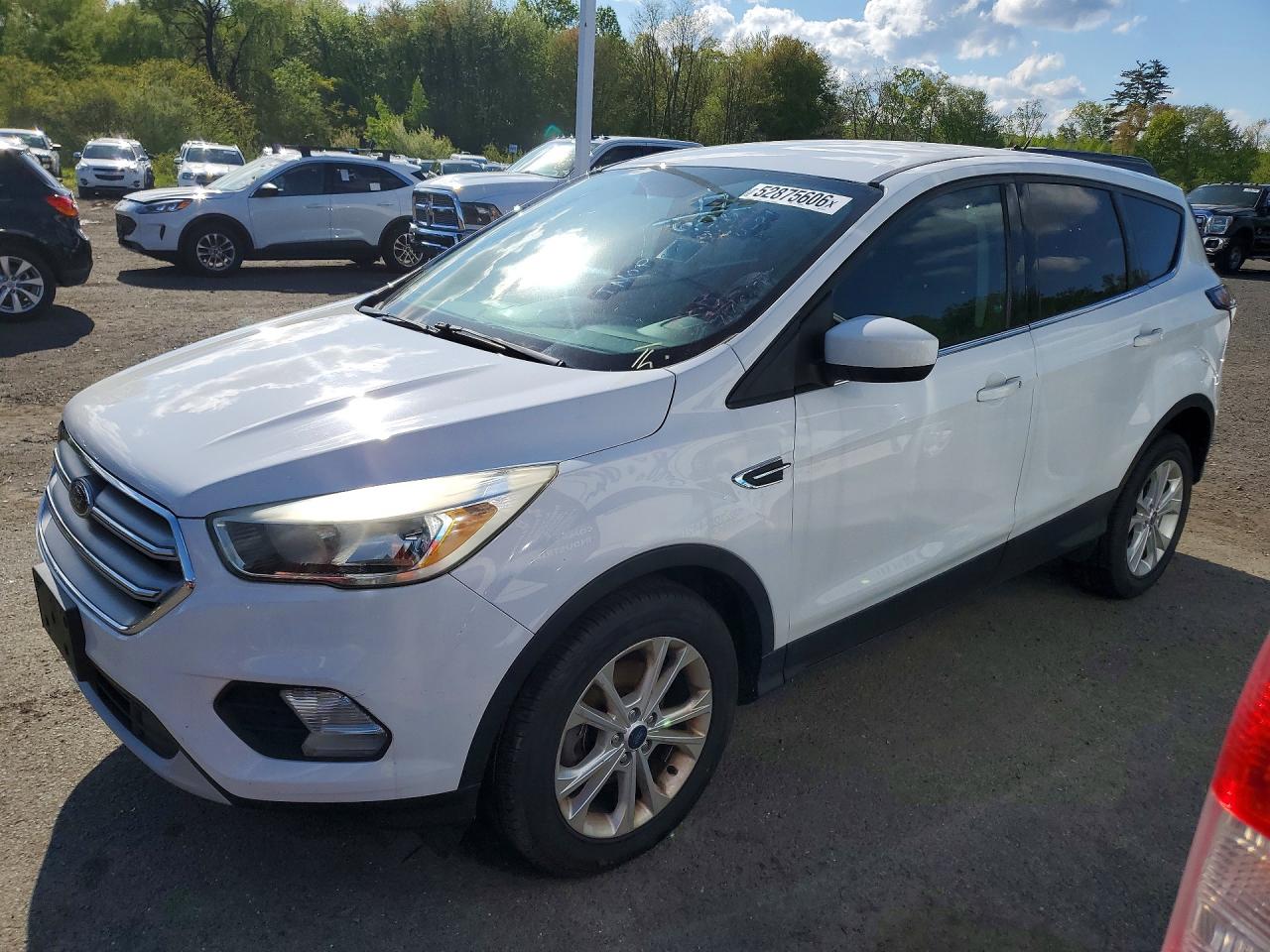 Salvage Ford Escape Image
