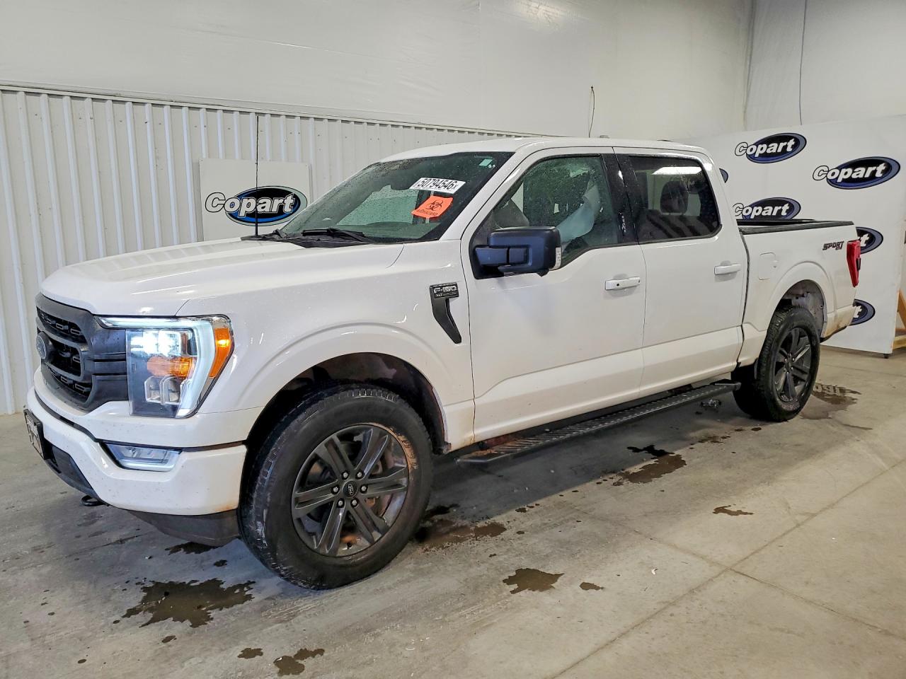Salvage Ford F-150 Image
