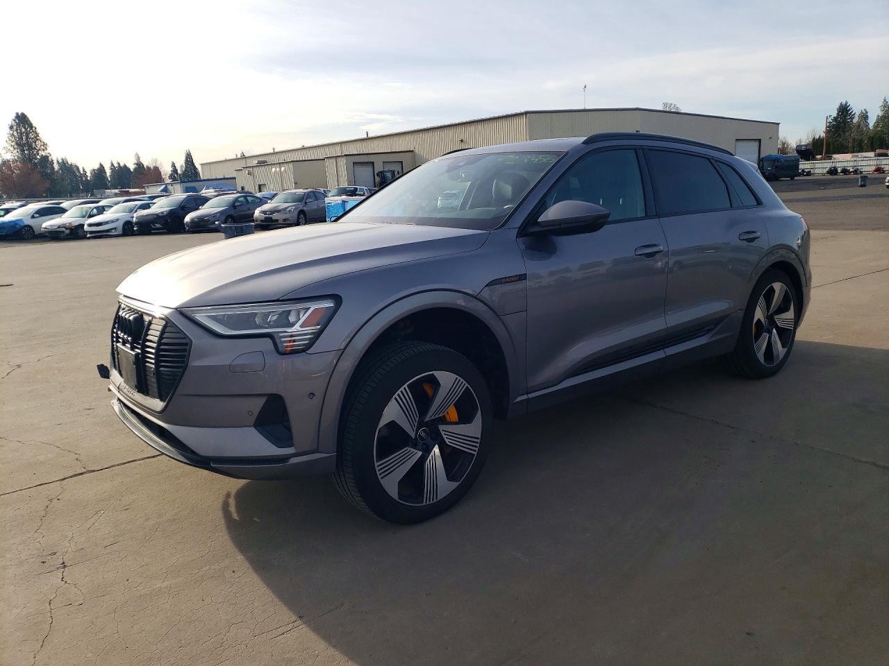 Salvage Audi e-tron Image