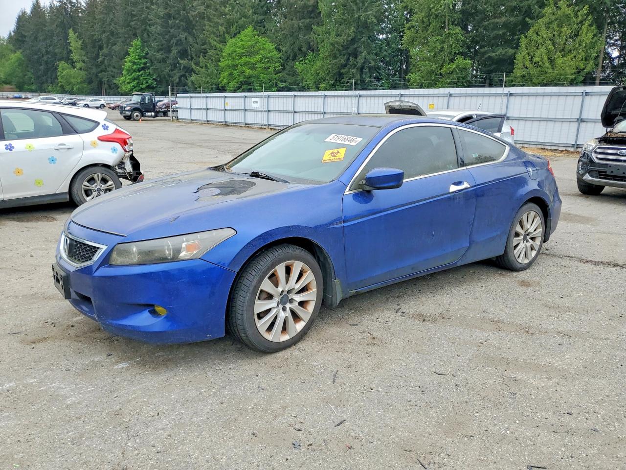 Salvage Honda Accord Image