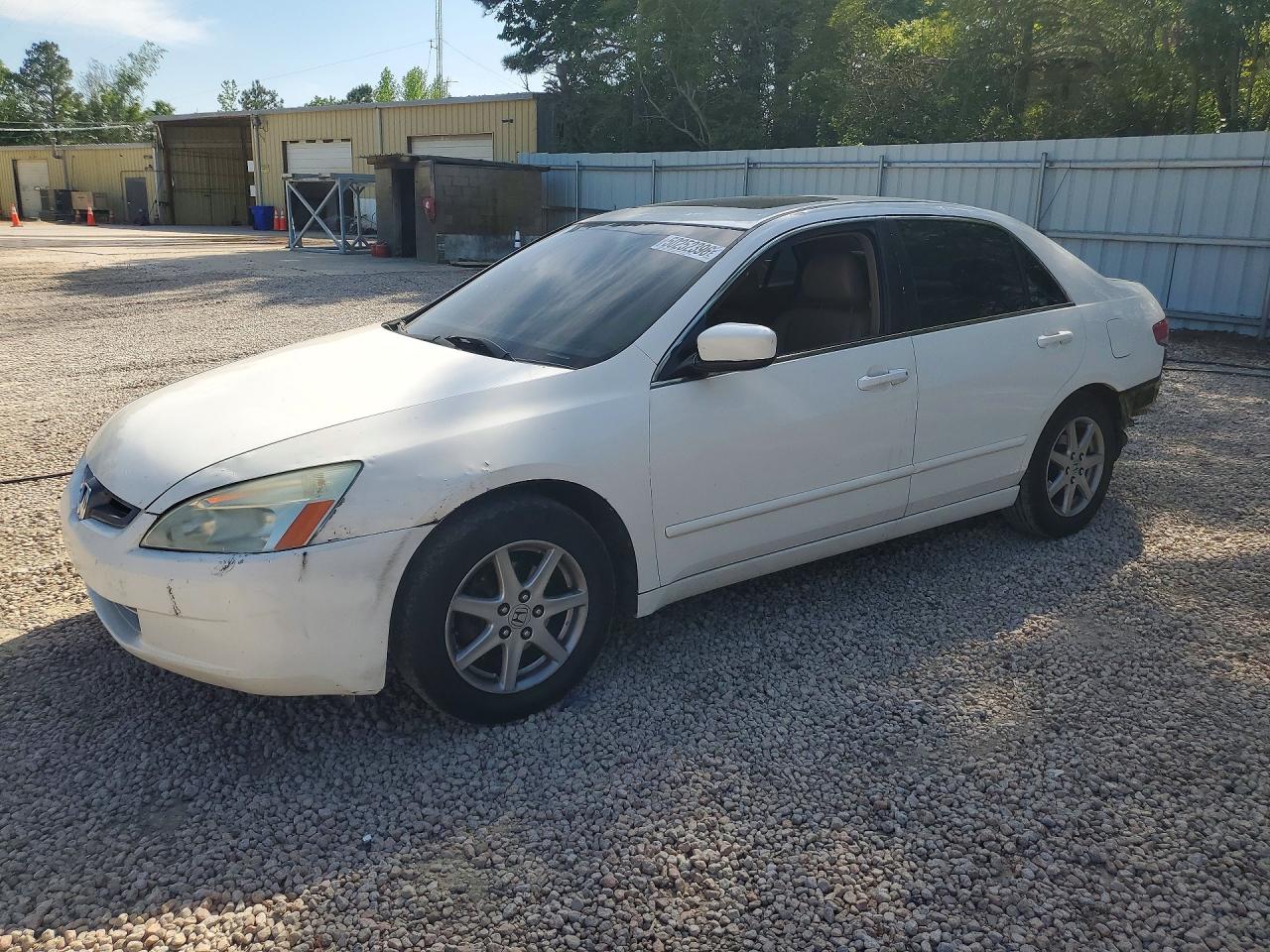 Salvage Honda Accord Image