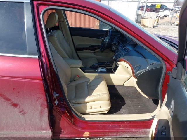 Honda Accord Ex-l
