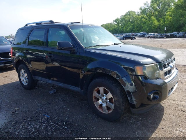 Salvage Ford Escape Image