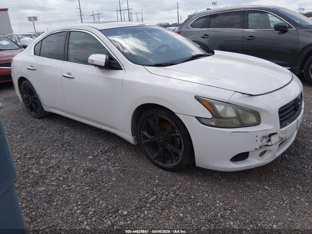 Salvage Nissan Maxima Image