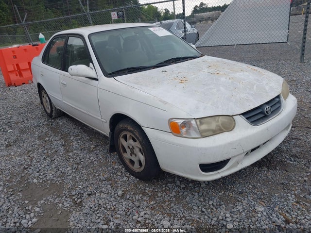 Salvage Toyota Corolla Image