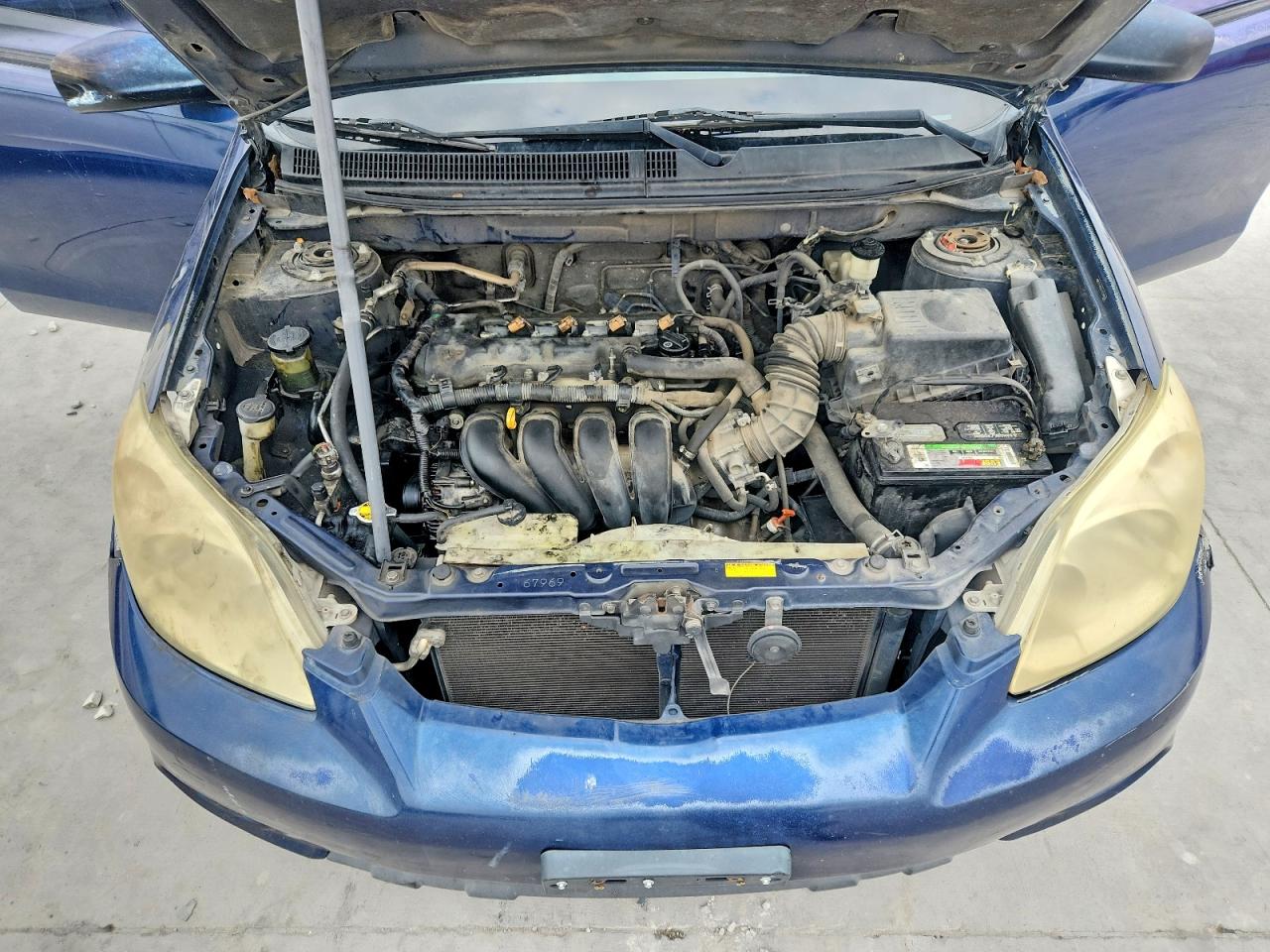 Toyota Corolla Xr