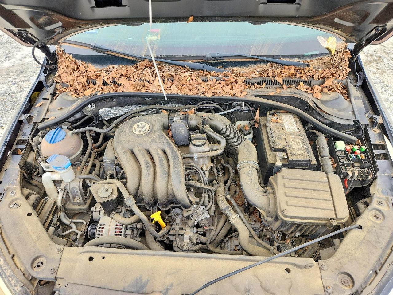 Volkswagen Jetta Base