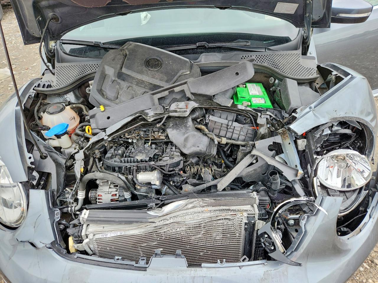 Volkswagen Beetle Se