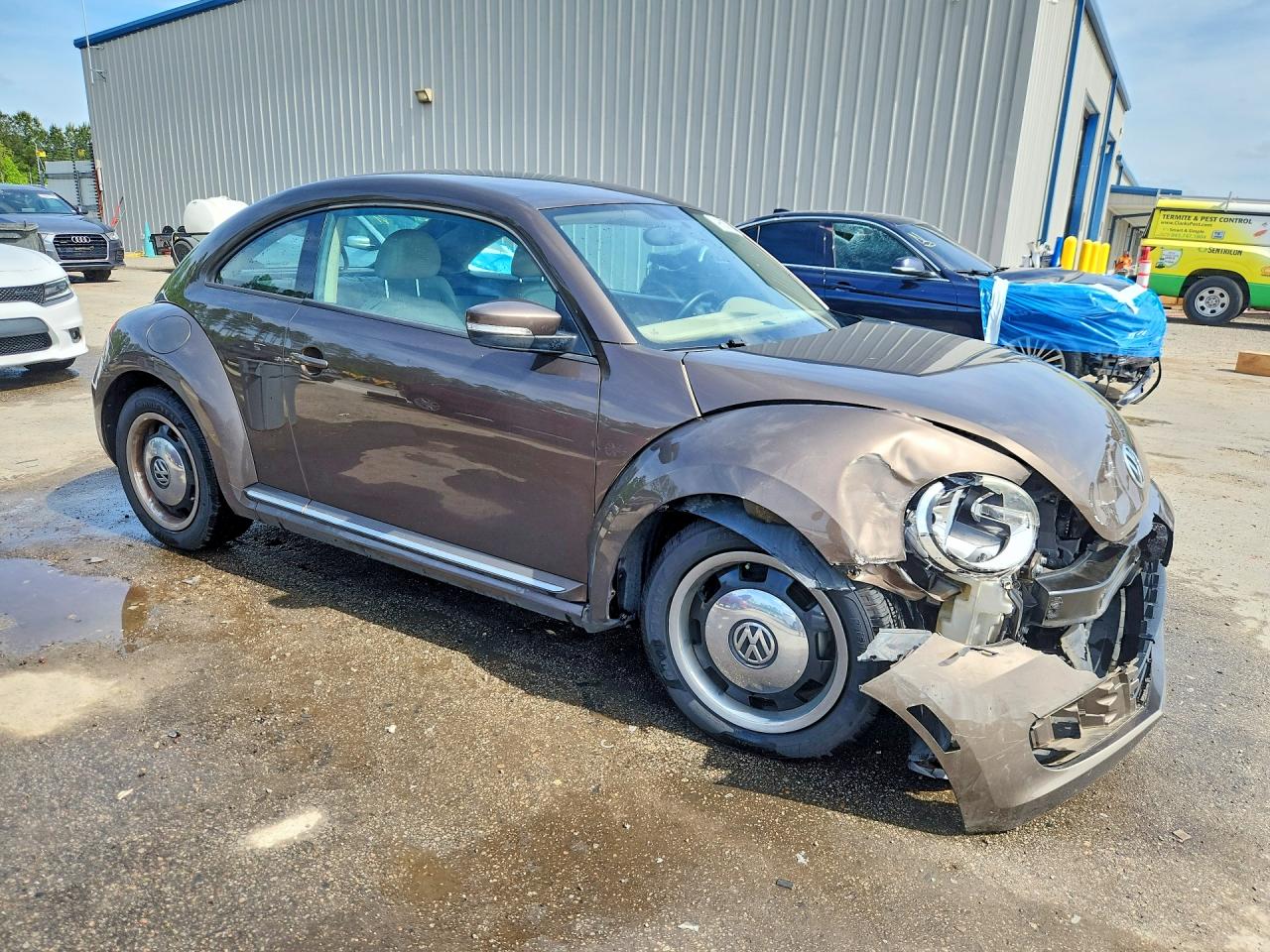 Volkswagen Beetle