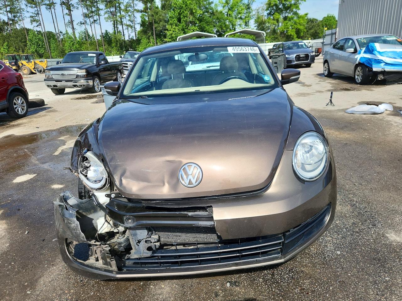 Volkswagen Beetle