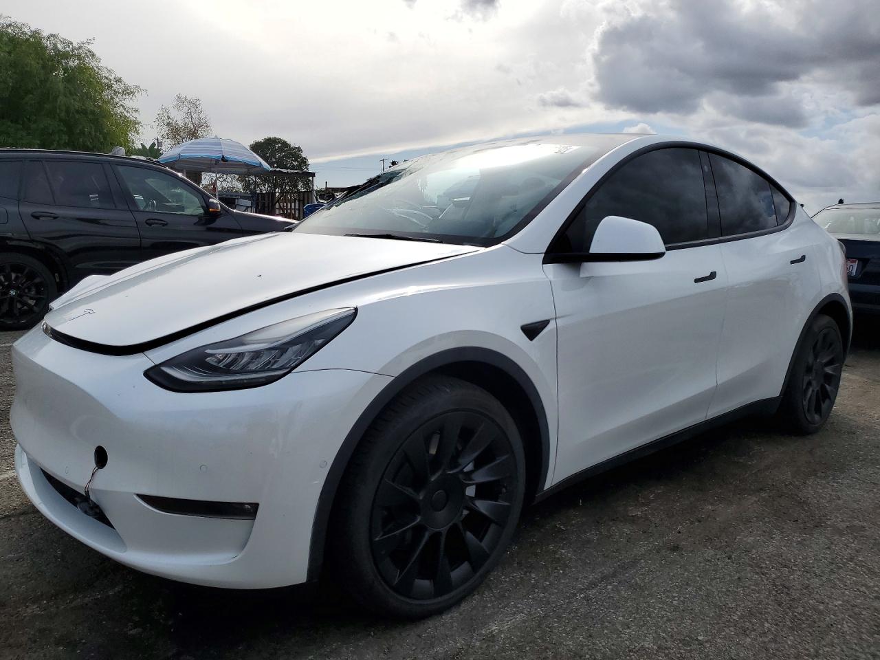 Salvage Tesla Model Y Image