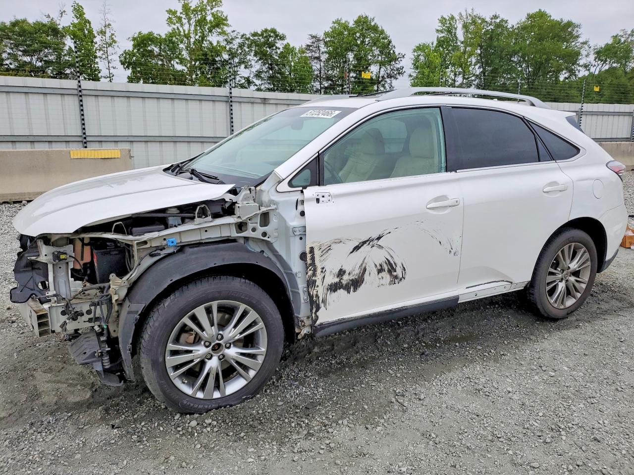 Salvage Lexus RX Image
