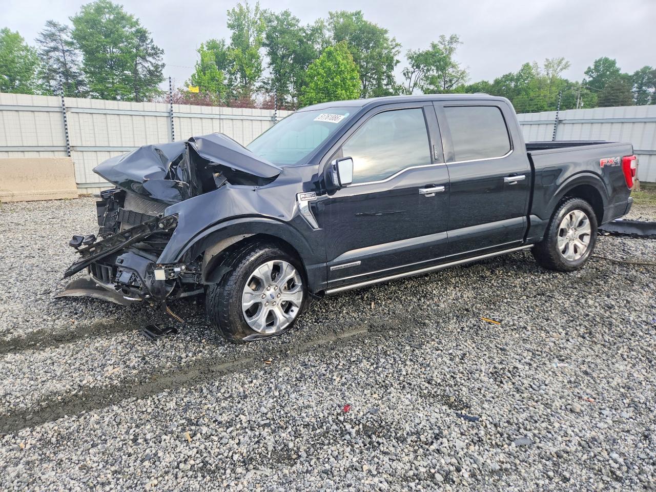 Salvage Ford F-150 Image