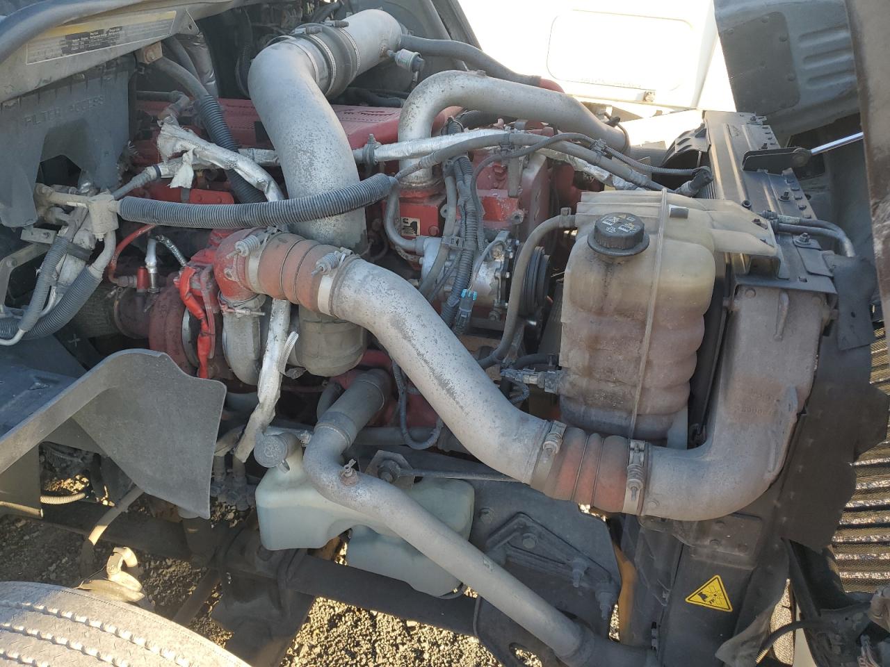 International Prostar