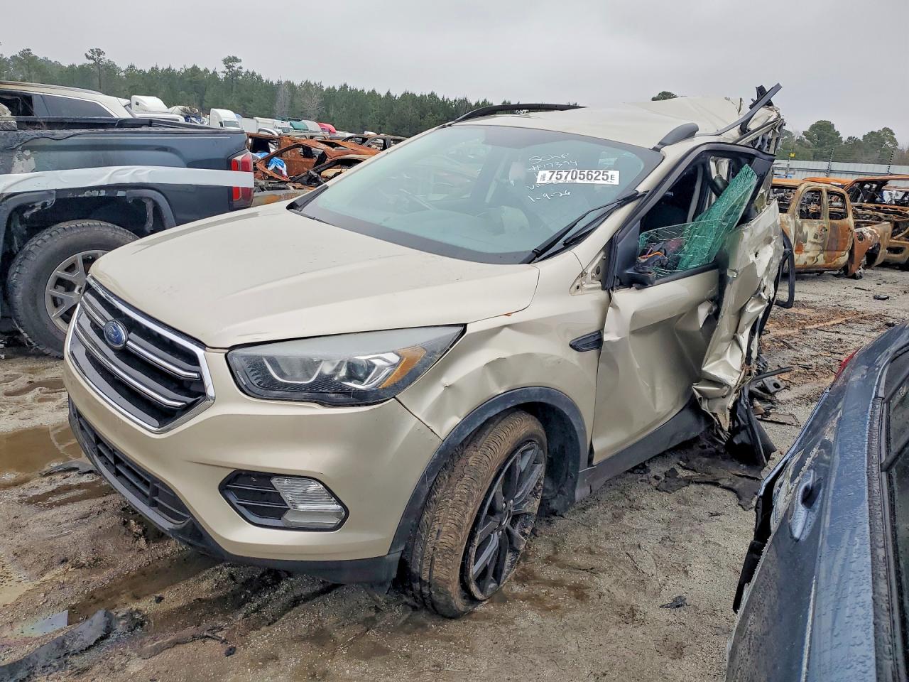 Salvage Ford Escape Image