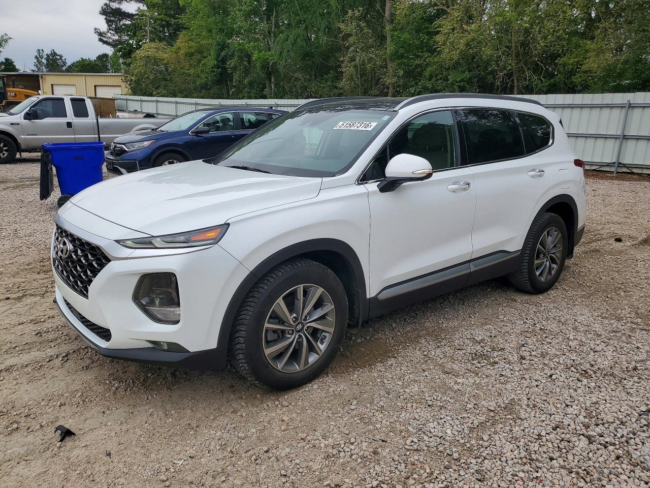 Salvage Hyundai SANTA FE Image