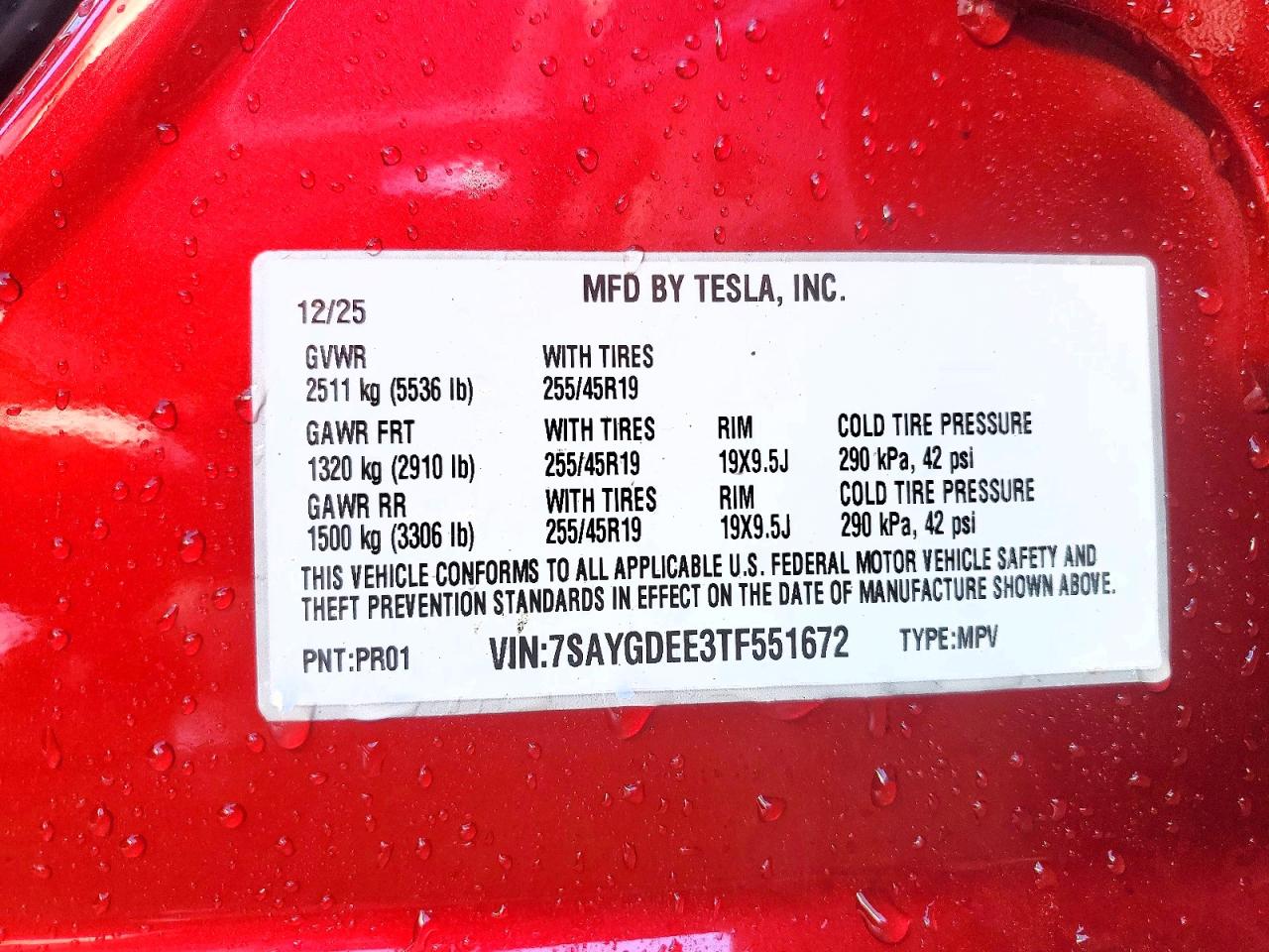 Tesla Model Y