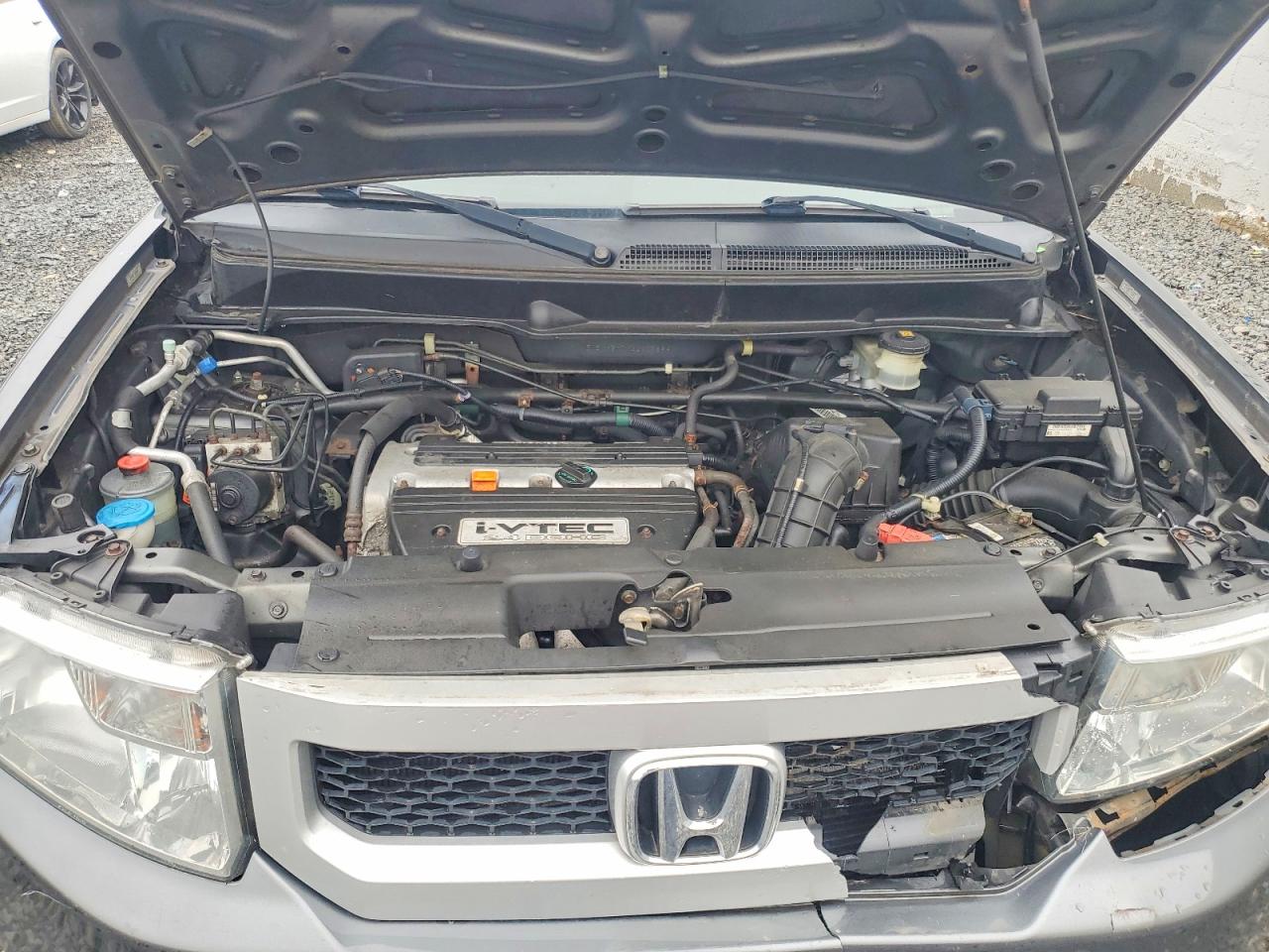 Honda Element Ex