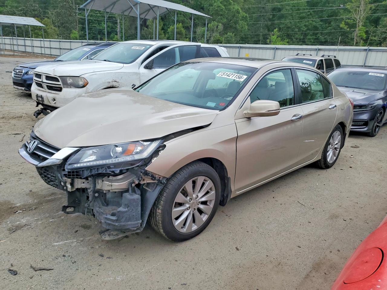 Salvage Honda Accord Image