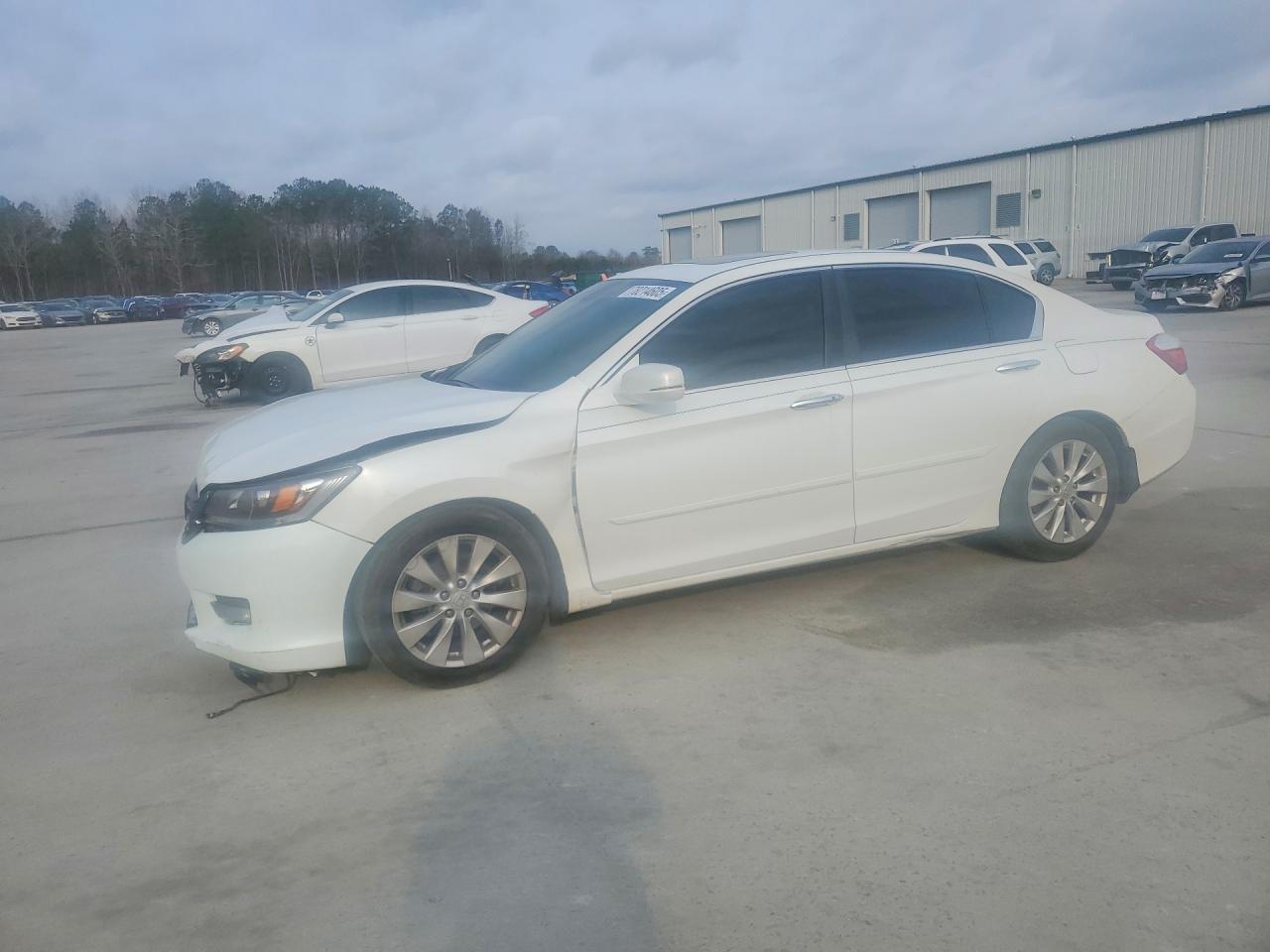 Salvage Honda Accord Image