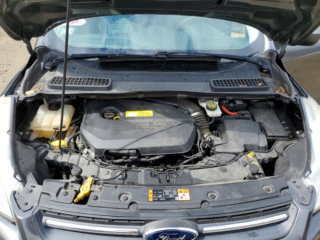 Ford Escape Se