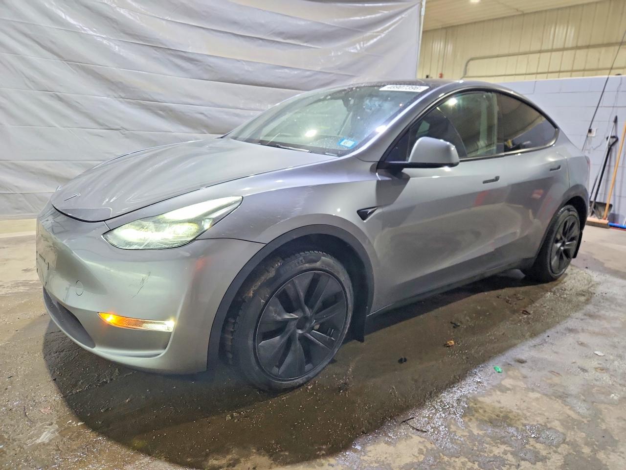 Salvage Tesla Model Y Image