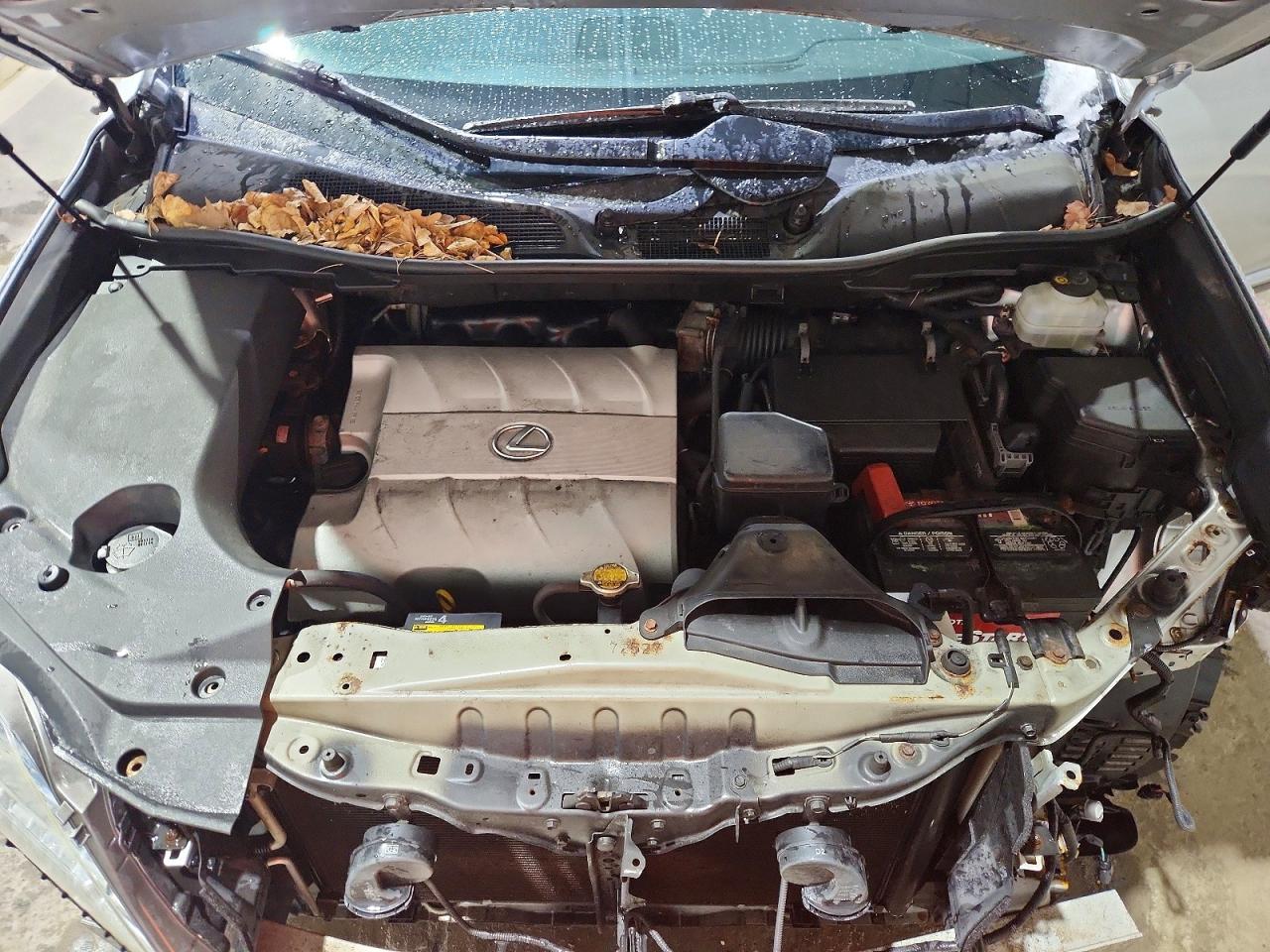 Lexus RX Base