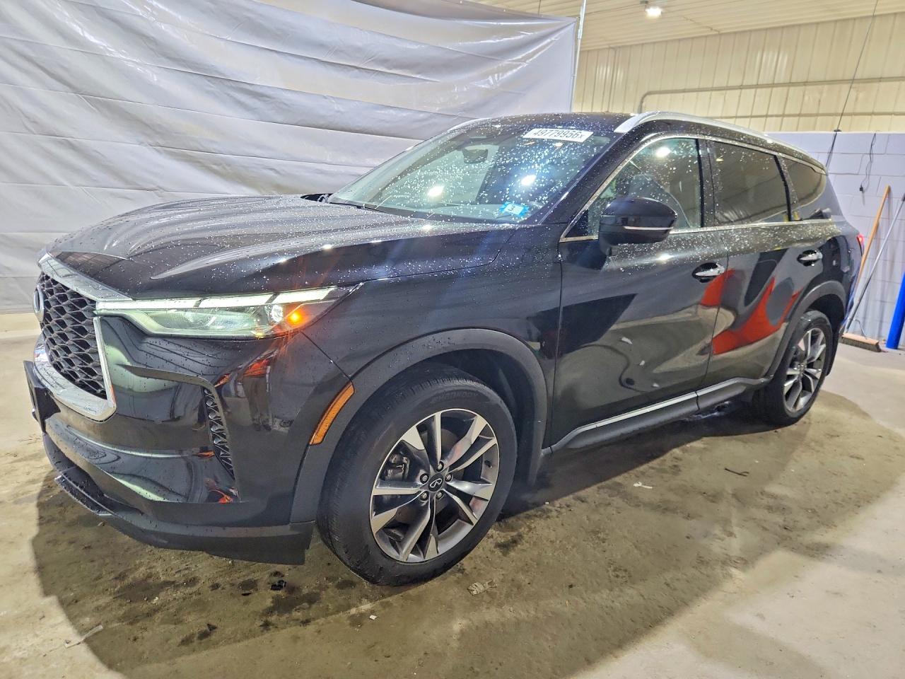 Salvage INFINITI Qx Image