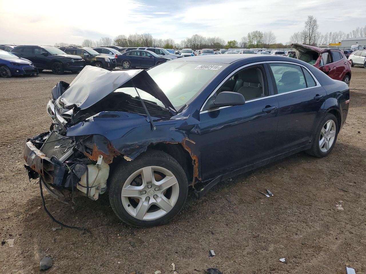 Salvage Chevrolet Malibu Image