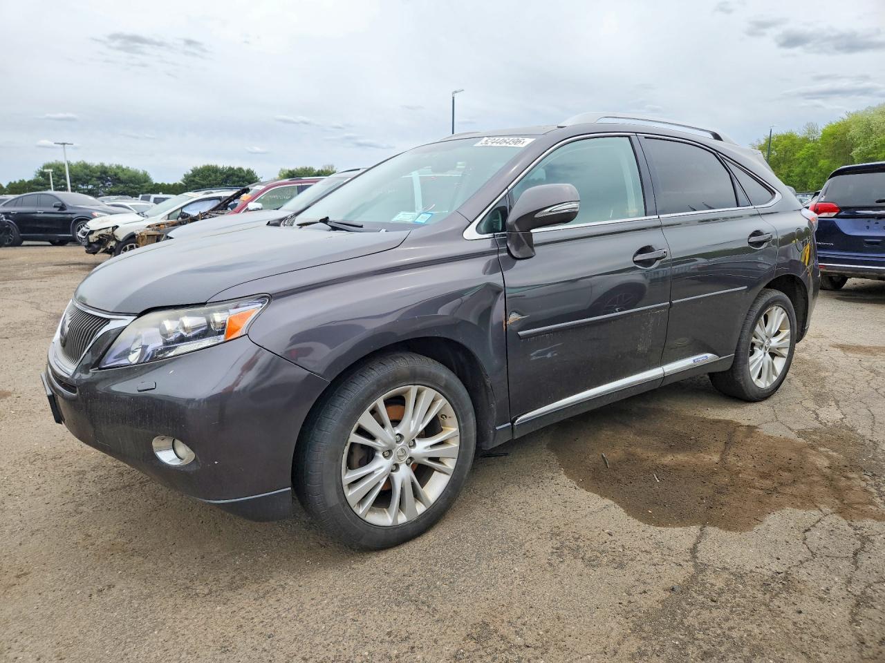 Salvage Lexus RX Image