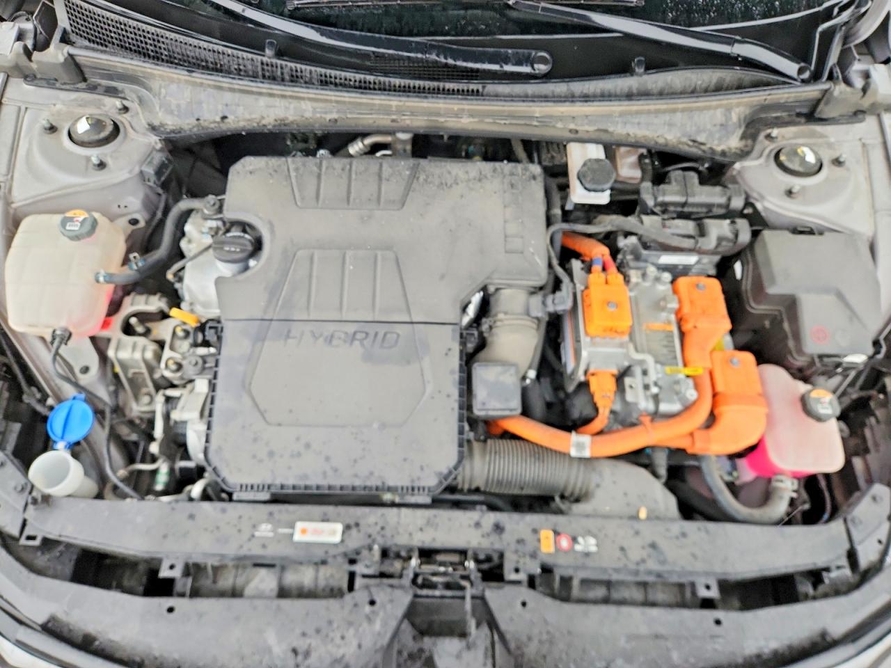 Hyundai ELANTRA Blue