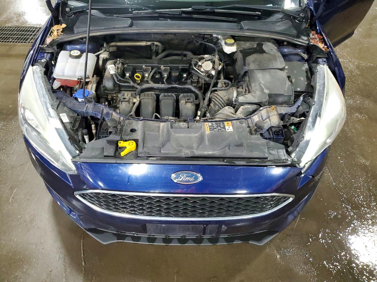 Ford Focus Sel