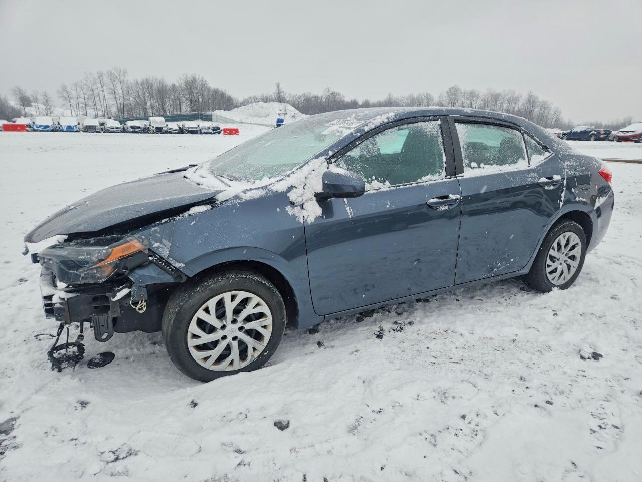 Salvage Toyota Corolla Image