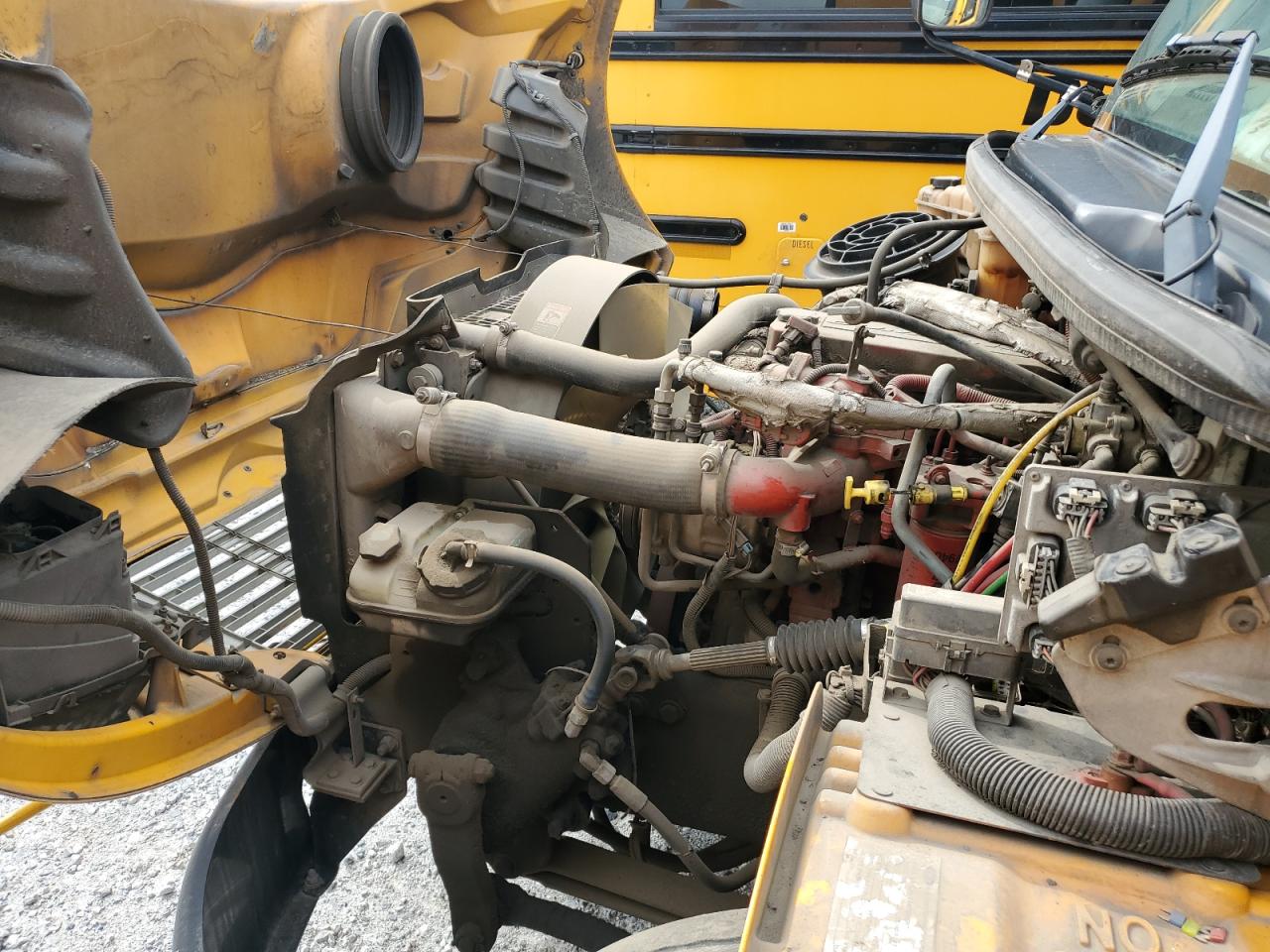 Freigliner Chassis B2b